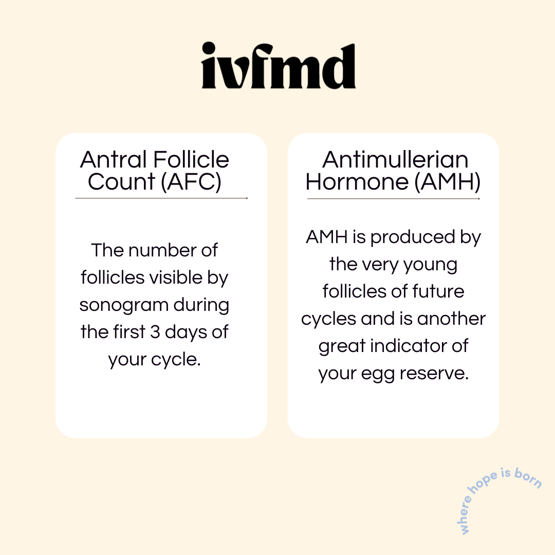 Low Egg Reserve Understanding Its Impact on Fertility and Treatment